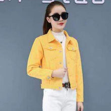 Charger l'image dans la galerie, Veste Hebi - Kimono Japonais