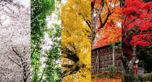 Les Saisons au Japon